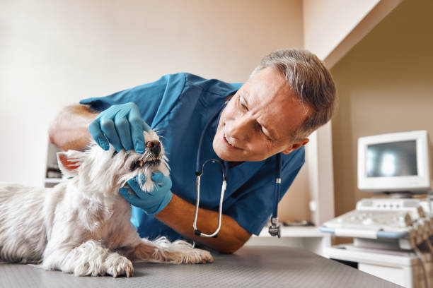 Best Broken Tooth Emergency  in Hoer, OK